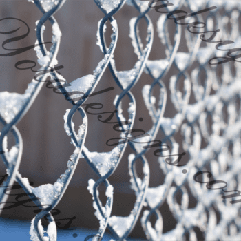 Winter's Beauty Up Close: Stunning Close-Up Stock Photos of Snow on Chain Link Fences